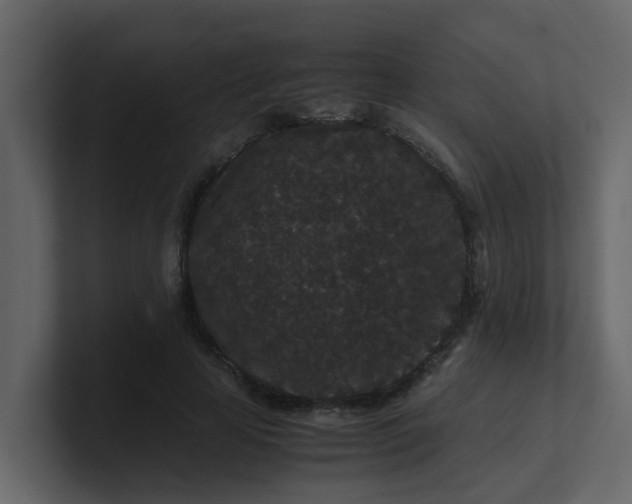 X0000101100641200807101448