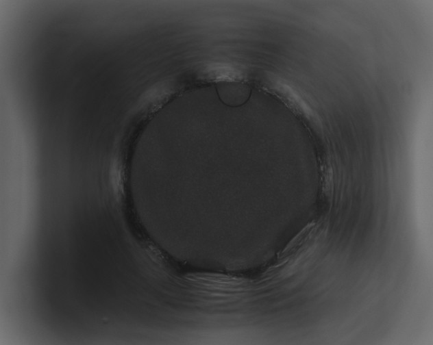 X0000101100643200807101448