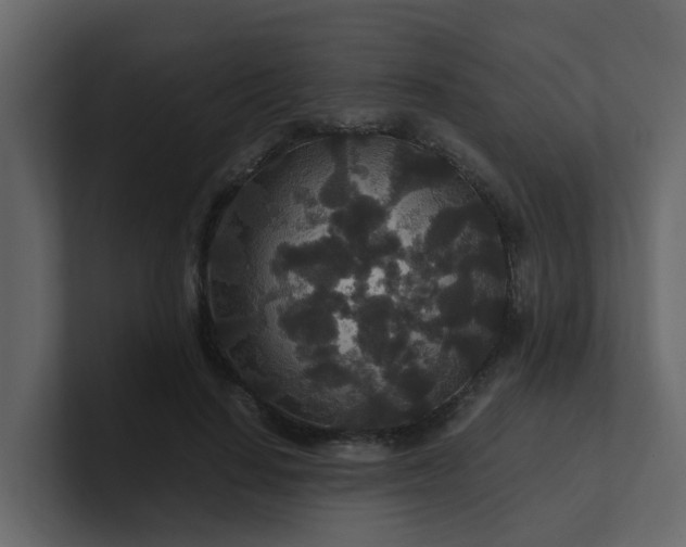 X0000101100644200807101448