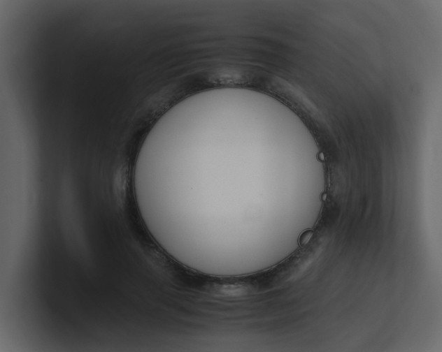 X0000101100645200807101448