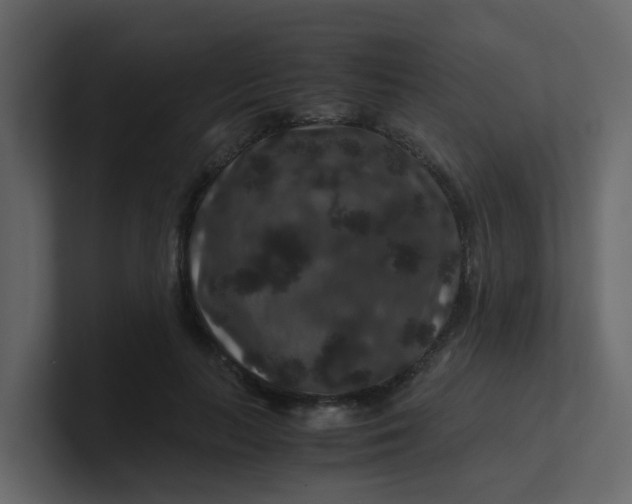 X0000101100647200807101448