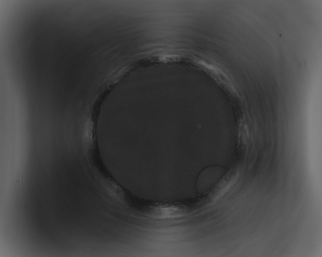 X0000101100650200807101448