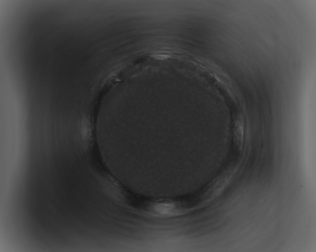 X0000101100653200807101448