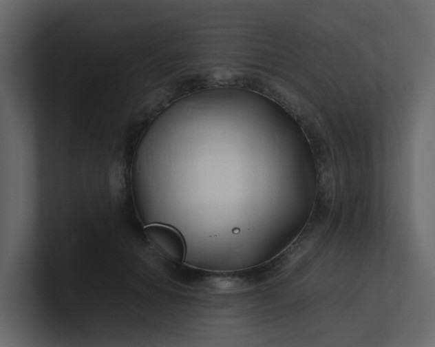 X0000101100654200807101448