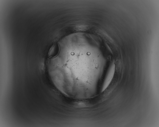X0000101100655200807101448