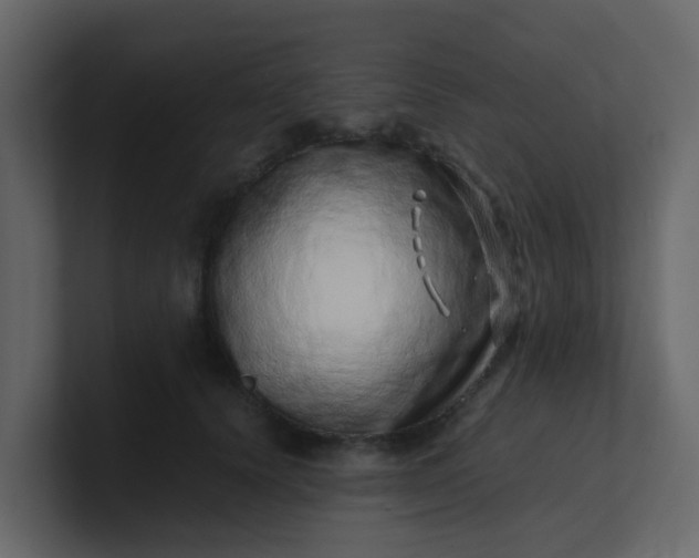 X0000101100656200807101448