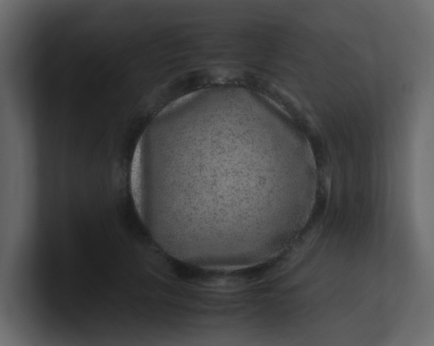 X0000101100657200807101448