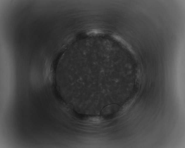 X0000101100659200807101448