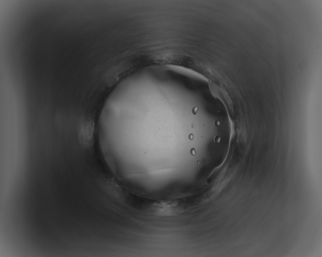 X0000101100660200807101448