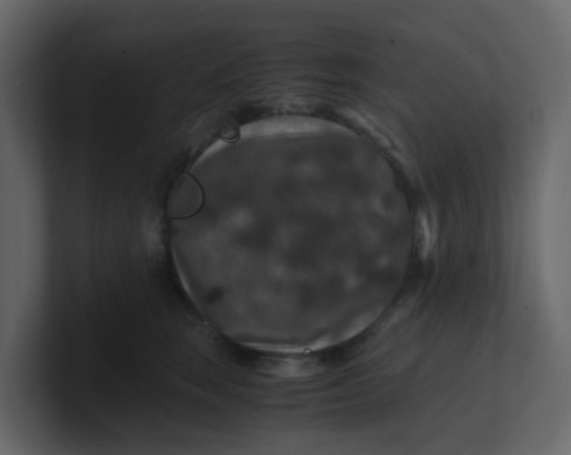 X0000101100663200807101448
