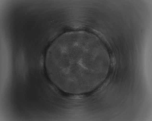 X0000101100664200807101448