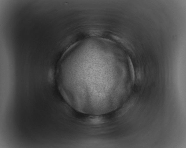 X0000101100667200807101448