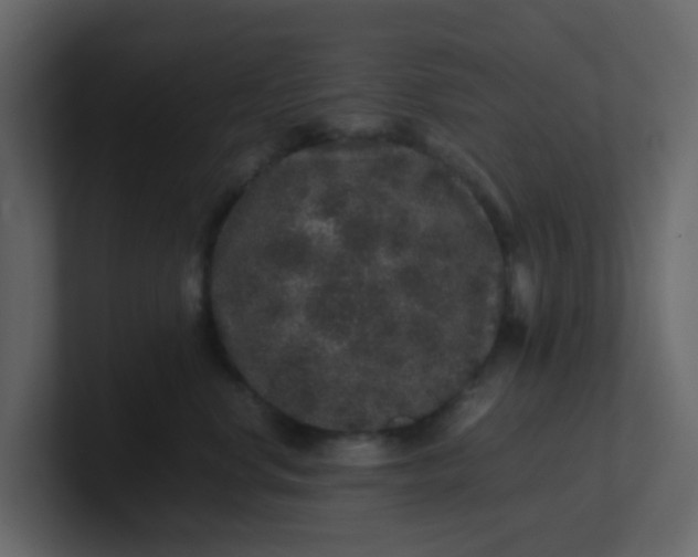 X0000101100668200807101448
