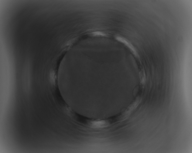 X0000101100669200807101448