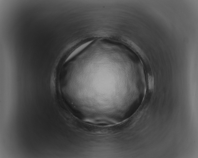 X0000101100675200807101448
