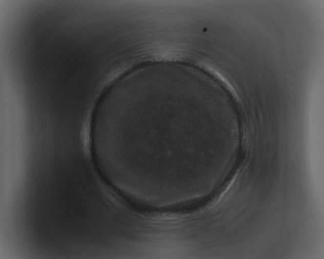 X0000101100677200807101448