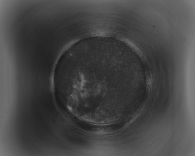 X0000101100678200807101448