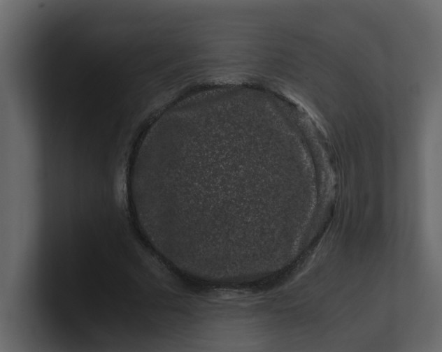 X0000101100681200807101448