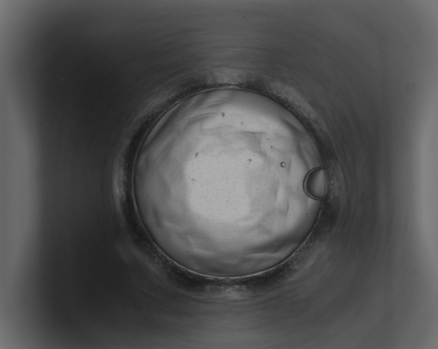 X0000101100683200807101448