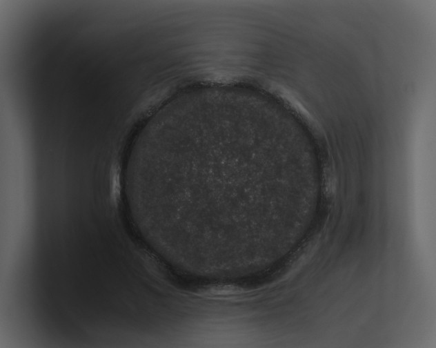X0000101100685200807101448