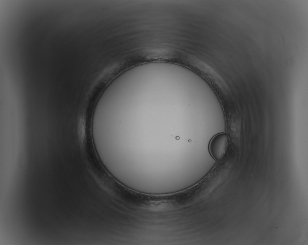 X0000101100686200807101448