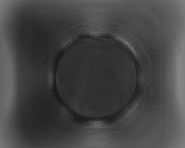X0000101100689200807101448