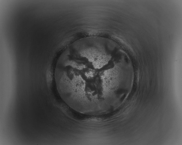 X0000101100691200807101448