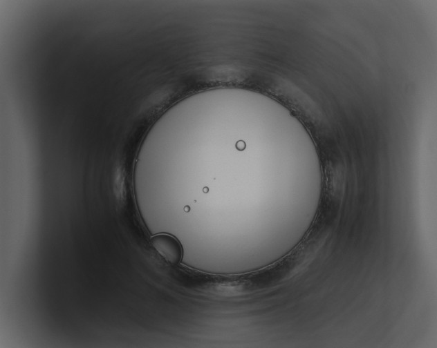 X0000101100692200807101448