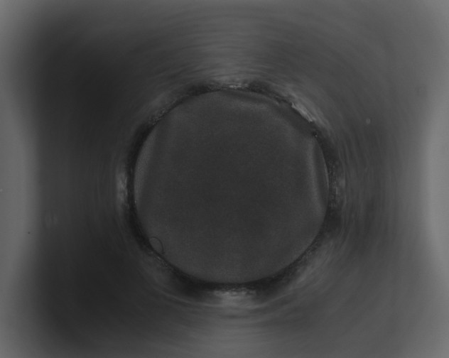 X0000101100693200807101448