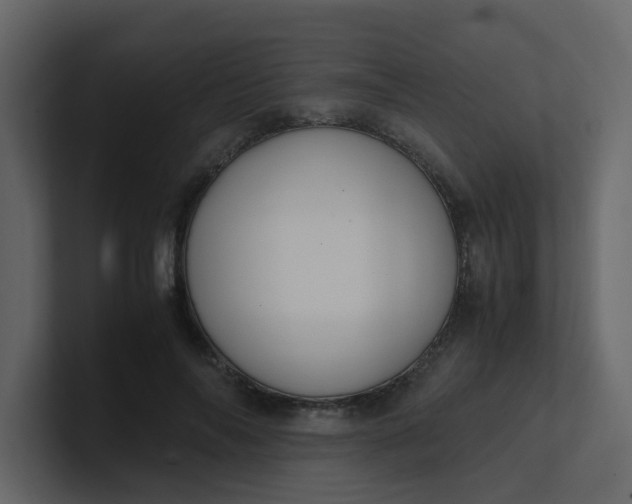 X0000101100694200807101448