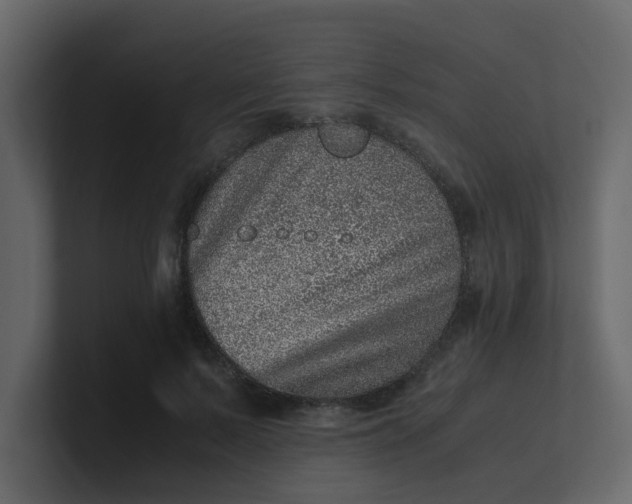 X0000101100695200807101448