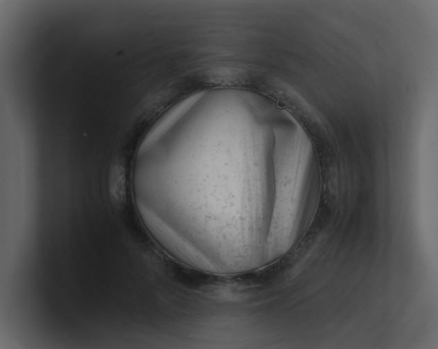 X0000101100696200807101448