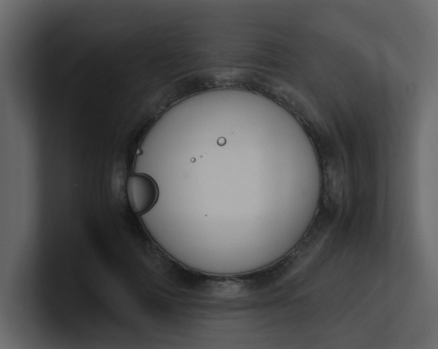 X0000101100698200807101447
