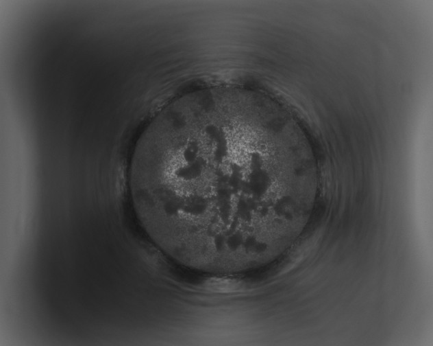 X0000101100699200807101447