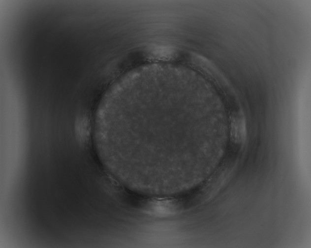 X0000101100701200807101447