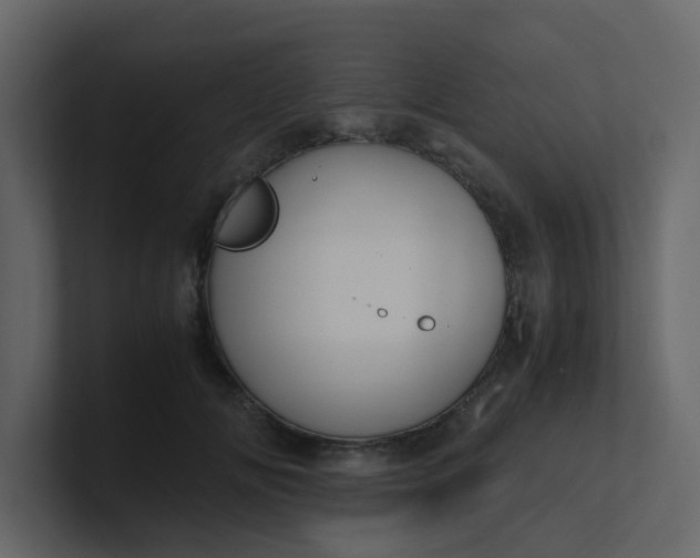 X0000101100702200807101447