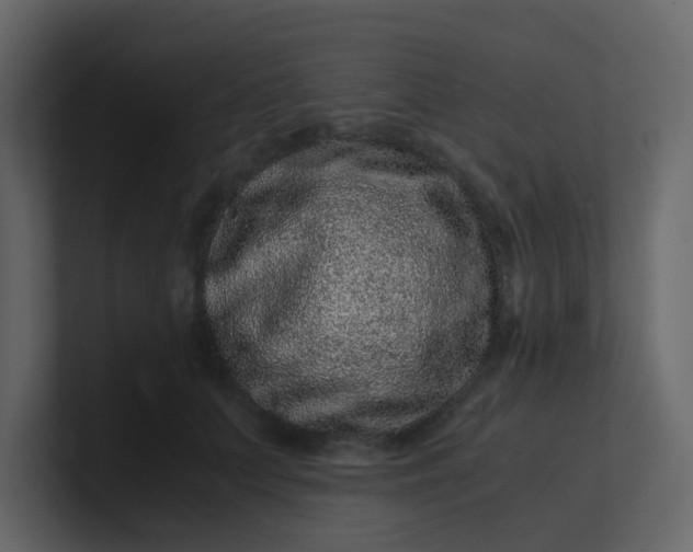 X0000101100703200807101447
