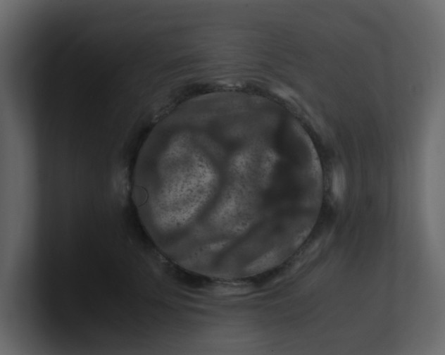 X0000101100707200807101447