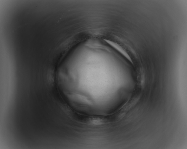X0000101100710200807101447
