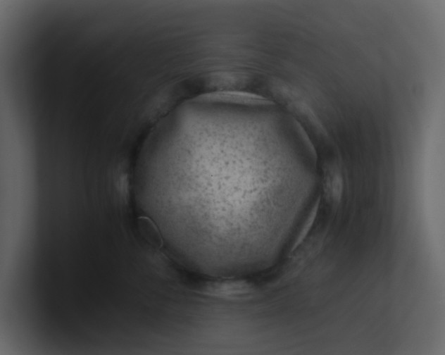 X0000101100716200807101447