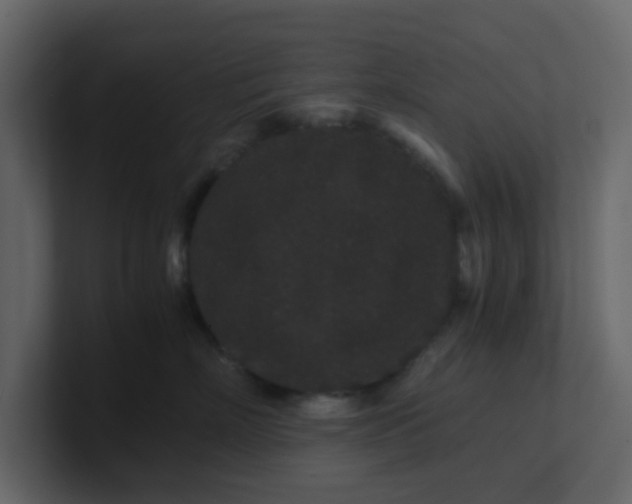X0000101100718200807101447