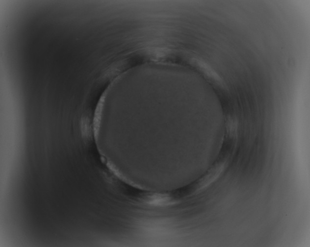 X0000101100719200807101447