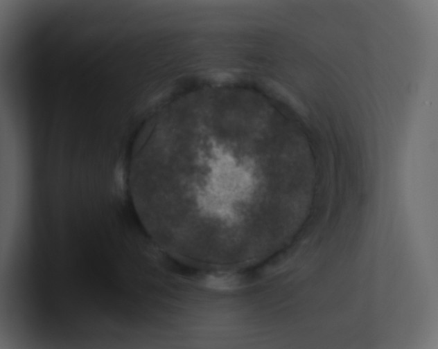 X0000101100720200807101447