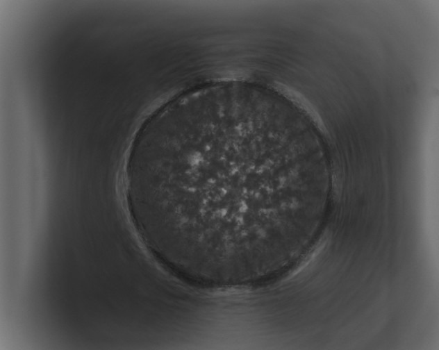 X0000101100721200807101446