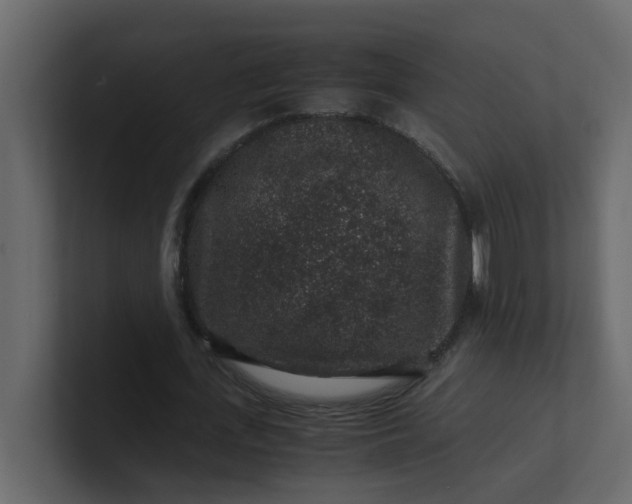 X0000101100723200807101446