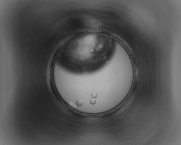 X0000101100725200807101446