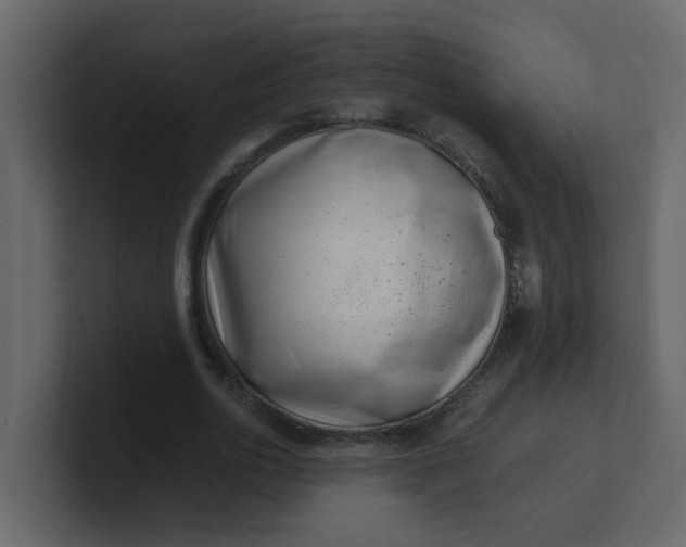 X0000101100726200807101446