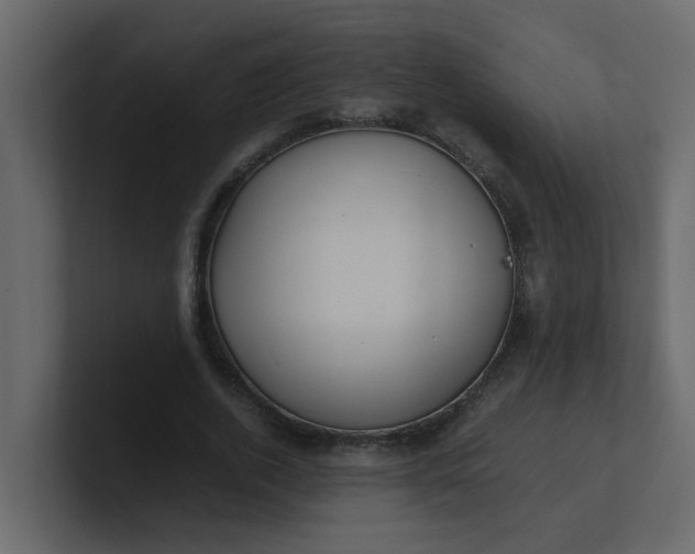 X0000101100728200807101446