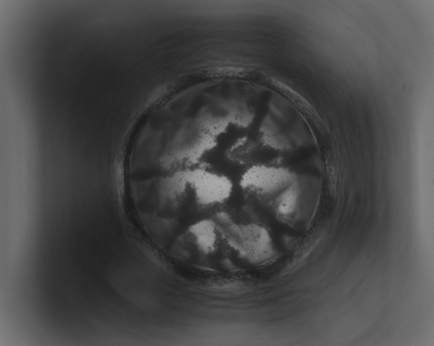 X0000101100729200807101446
