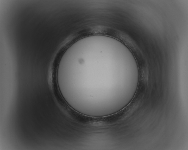 X0000101100730200807101446